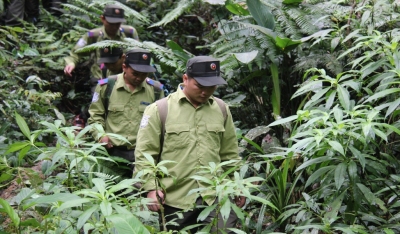 Tăng cường sự lãnh đạo của Đảng đối với công tác quản lý,  bảo vệ và phát triển rừng