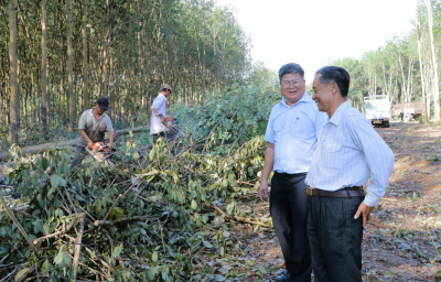 Gương sáng hiến đất làm đường