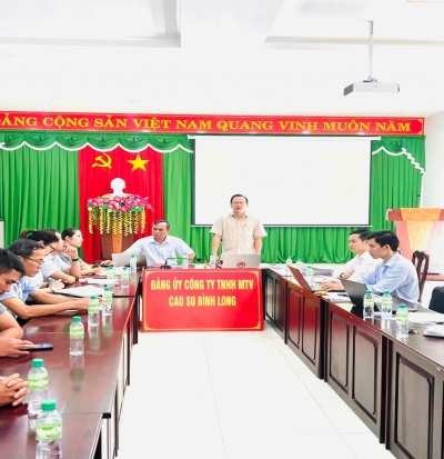 Ban Tuyên giáo Tỉnh uỷ kiểm tra công tác thi đua cuối năm tại Ban Tuyên giáo Đảng uỷ Công ty TNHHMTV Cao su Bình Long