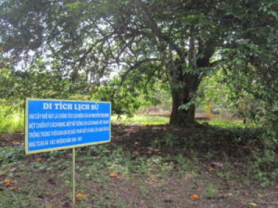 Vườn cây lưu niệm gắn liền với hoạt động cách mạng nữ tướng Nguyễn Thị Định