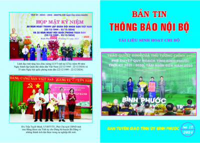 Bản Thông tin Nội bộ số tháng 12-2024