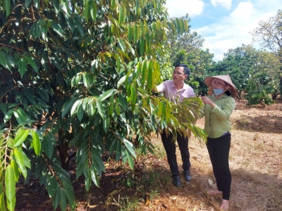 Học Bác từng ngày