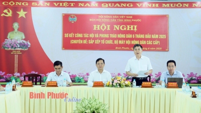 Sắp xếp bộ máy để hoạt động hiệu quả hơn, phù hợp tình hình mới